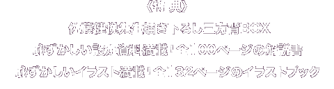 〈特典〉佐藤健悦先生描き下ろし三方背BOX 恥ずかしい設定資料満載！全100ページの解説書 恥ずかしいイラスト満載！全132ページのイラストブック